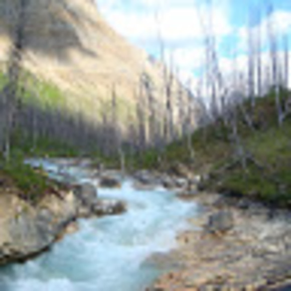 Meet your Posher, Natalya - Picture 1 of 1